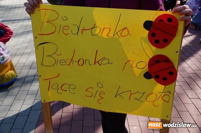 Zdjęcie w galerii na portalu naszwodzislaw.com: Trzy Wzgórza mają własne hotele... dla owadów! wiadomości z regionu