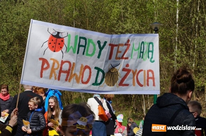 Zdjęcie w galerii na portalu naszwodzislaw.com: Trzy Wzgórza mają własne hotele... dla owadów! wiadomości z regionu