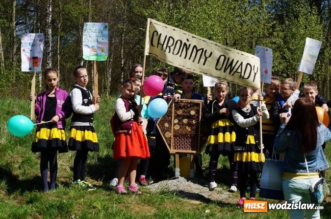 Zdjęcie w galerii na portalu naszwodzislaw.com: Trzy Wzgórza mają własne hotele... dla owadów! wiadomości z regionu