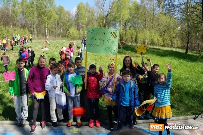 Zdjęcie w galerii na portalu naszwodzislaw.com: Trzy Wzgórza mają własne hotele... dla owadów! wiadomości z regionu