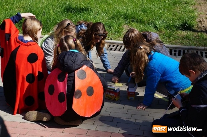 Zdjęcie w galerii na portalu naszwodzislaw.com: Trzy Wzgórza mają własne hotele... dla owadów! wiadomości z regionu