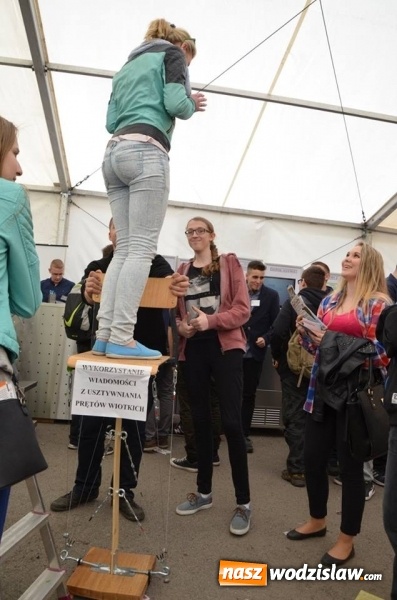 Zdjęcie w galerii na portalu naszwodzislaw.com: Około tysiąc gimnazjalistów więzło udział w Powiatowych Targach Edukacyjnych wiadomości z regionu