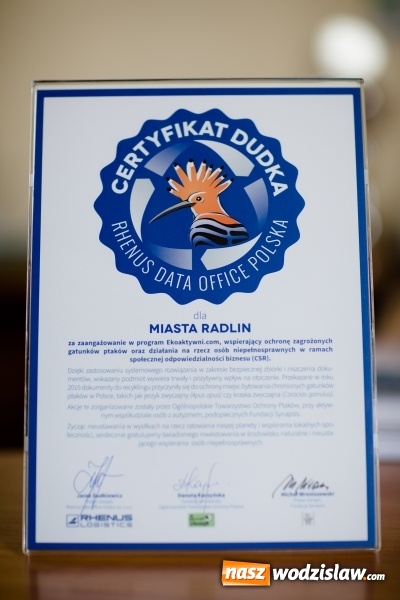 Zdjęcie w galerii na portalu naszwodzislaw.com: Urzędowy recykling pomógł... chronionym gatunkom ptaków  wiadomości z regionu