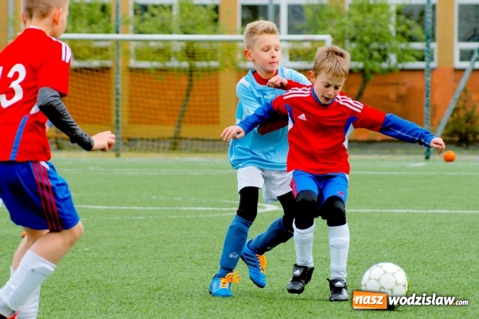 Zdjęcie w galerii na portalu naszwodzislaw.com: Waleczna gra Turzy Śląskiej nie wystarczyła. Orliki raciborskiej Unii znów zwycięskie wiadomości z regionu