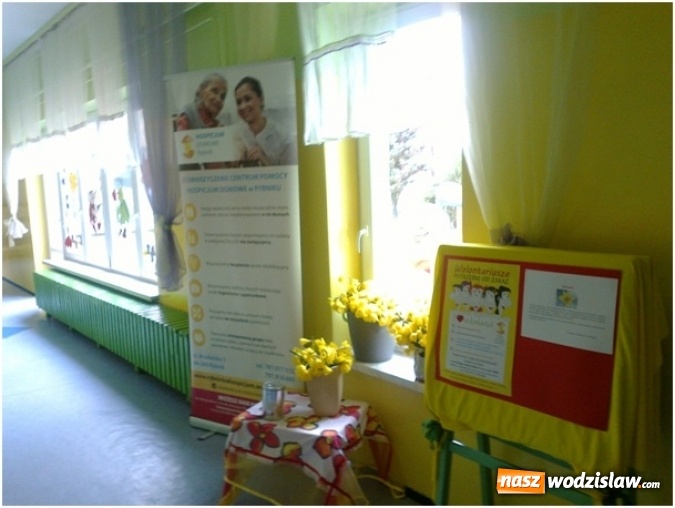 Zdjęcie w galerii na portalu naszwodzislaw.com: Przedszkolaki przyłączyły  się do międzynarodowej akcji hospicyjnej Pola Nadziei wiadomości z regionu