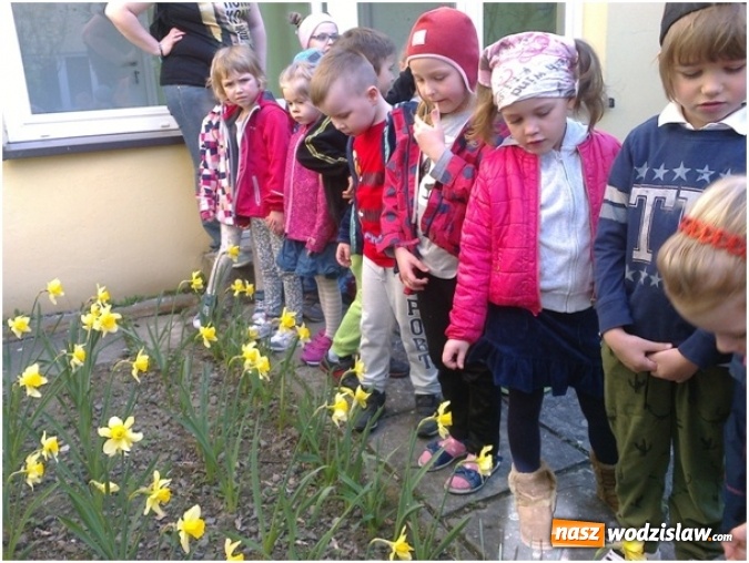 Zdjęcie w galerii na portalu naszwodzislaw.com: Przedszkolaki przyłączyły  się do międzynarodowej akcji hospicyjnej Pola Nadziei wiadomości z regionu