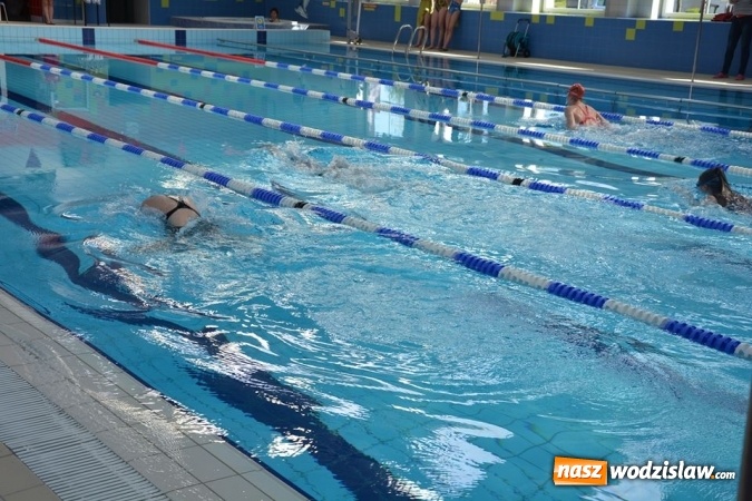 Zdjęcie w galerii na portalu naszwodzislaw.com: Finałowy turniej pływacki na Mancie już za nami wiadomości z regionu