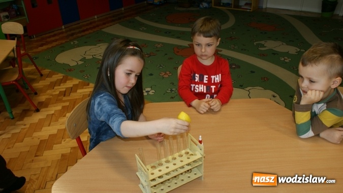 Zdjęcie w galerii na portalu naszwodzislaw.com: Mali badacze z PP numer 16 w Wodzisławiu Śl.  wiadomości z regionu