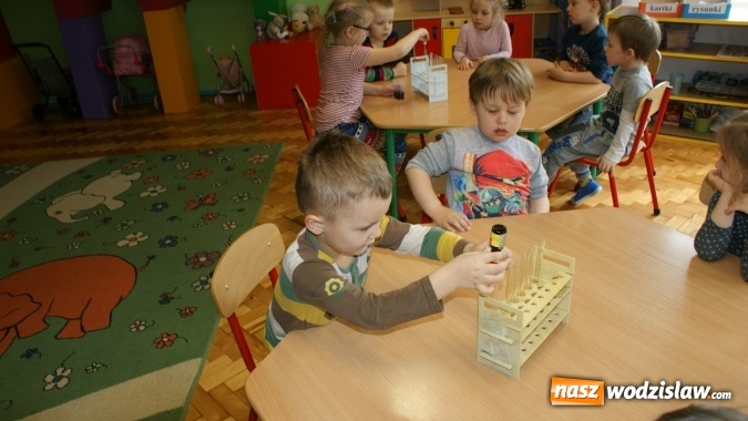 Zdjęcie w galerii na portalu naszwodzislaw.com: Mali badacze z PP numer 16 w Wodzisławiu Śl.  wiadomości z regionu