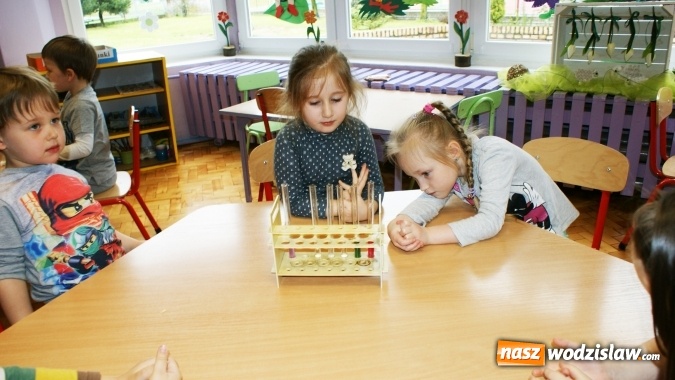 Zdjęcie w galerii na portalu naszwodzislaw.com: Mali badacze z PP numer 16 w Wodzisławiu Śl.  wiadomości z regionu