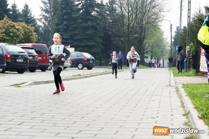Zdjęcie w galerii na portalu naszwodzislaw.com: XXI Radliński Bieg Ekologiczny za nami wiadomości z regionu