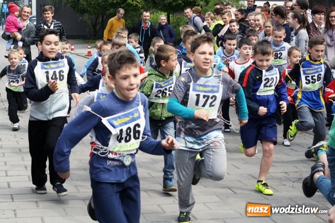 Zdjęcie w galerii na portalu naszwodzislaw.com: XXI Radliński Bieg Ekologiczny za nami wiadomości z regionu