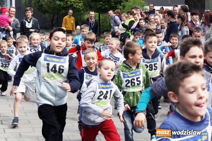 Zdjęcie w galerii na portalu naszwodzislaw.com: XXI Radliński Bieg Ekologiczny za nami wiadomości z regionu