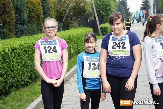 Zdjęcie w galerii na portalu naszwodzislaw.com: XXI Radliński Bieg Ekologiczny za nami wiadomości z regionu