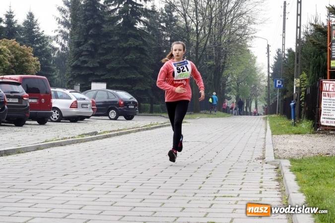 Zdjęcie w galerii na portalu naszwodzislaw.com: XXI Radliński Bieg Ekologiczny za nami wiadomości z regionu