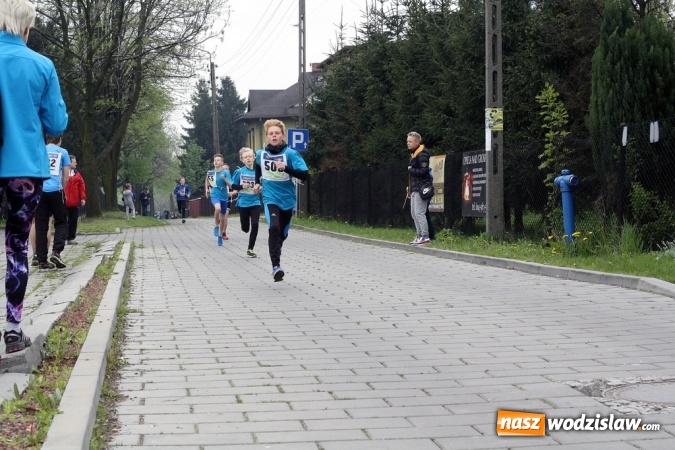 Zdjęcie w galerii na portalu naszwodzislaw.com: XXI Radliński Bieg Ekologiczny za nami wiadomości z regionu