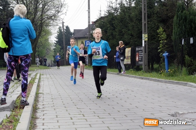 Zdjęcie w galerii na portalu naszwodzislaw.com: XXI Radliński Bieg Ekologiczny za nami wiadomości z regionu