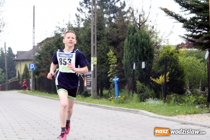 Zdjęcie w galerii na portalu naszwodzislaw.com: XXI Radliński Bieg Ekologiczny za nami wiadomości z regionu