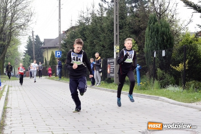 Zdjęcie w galerii na portalu naszwodzislaw.com: XXI Radliński Bieg Ekologiczny za nami wiadomości z regionu