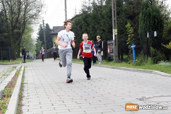 Zdjęcie w galerii na portalu naszwodzislaw.com: XXI Radliński Bieg Ekologiczny za nami wiadomości z regionu