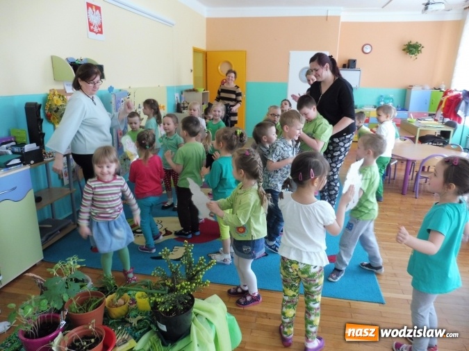 Zdjęcie w galerii na portalu naszwodzislaw.com: Kolor zielony opanował wodzisławskie przedszkole numer 6  wiadomości z regionu
