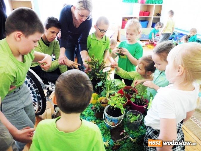 Zdjęcie w galerii na portalu naszwodzislaw.com: Kolor zielony opanował wodzisławskie przedszkole numer 6  wiadomości z regionu