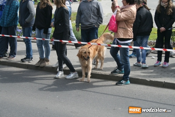 Zdjęcie w galerii na portalu naszwodzislaw.com: XXIV Memoriał Jana Margicioka i Leopolda Hałaczka wiadomości z regionu