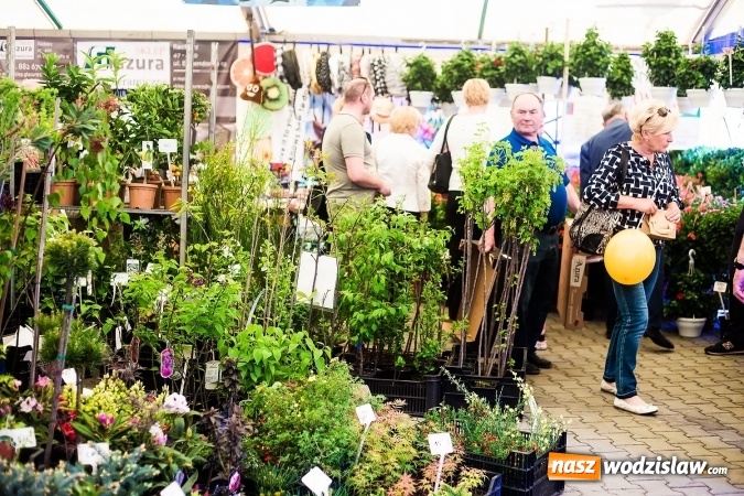 Zdjęcie w galerii na portalu naszwodzislaw.com: Za nami XVI Eko-Wystawa w Pietrowicach Wielkich - przegląd wystawców wiadomości z regionu