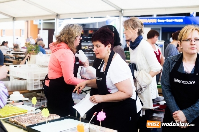 Zdjęcie w galerii na portalu naszwodzislaw.com: Za nami XVI Eko-Wystawa w Pietrowicach Wielkich - przegląd wystawców wiadomości z regionu