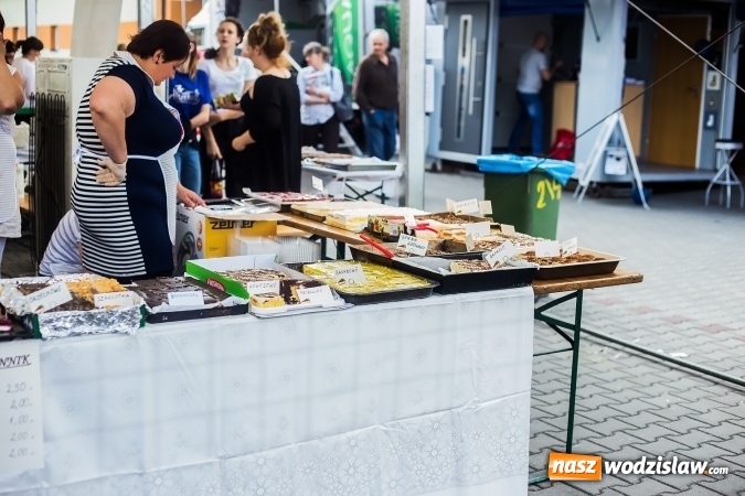 Zdjęcie w galerii na portalu naszwodzislaw.com: Za nami XVI Eko-Wystawa w Pietrowicach Wielkich - przegląd wystawców wiadomości z regionu