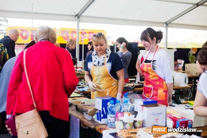 Zdjęcie w galerii na portalu naszwodzislaw.com: Za nami XVI Eko-Wystawa w Pietrowicach Wielkich - przegląd wystawców wiadomości z regionu