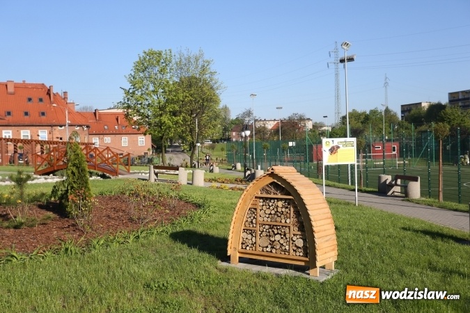 Zdjęcie w galerii na portalu naszwodzislaw.com: W 