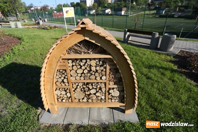 Zdjęcie w galerii na portalu naszwodzislaw.com: W 