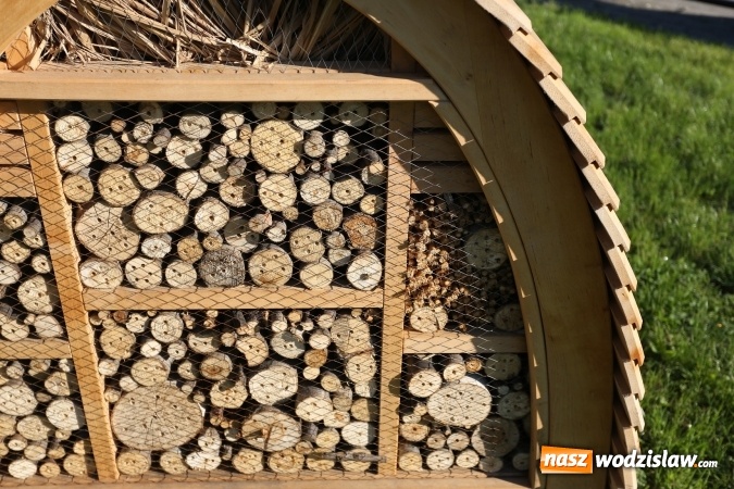 Zdjęcie w galerii na portalu naszwodzislaw.com: W 