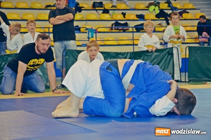 Zdjęcie w galerii na portalu naszwodzislaw.com: Medale dzieci z wodzisławskiego Octagonu na Copa Kids 2 wiadomości z regionu