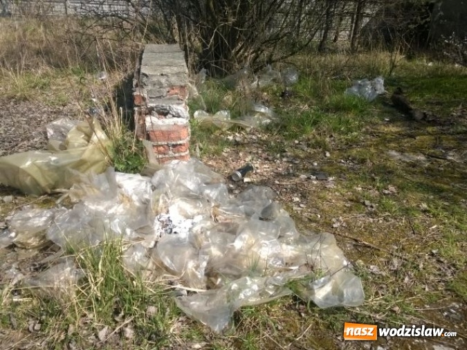 Zdjęcie w galerii na portalu naszwodzislaw.com: Kolejne dzikie wysypisko śmieci zniknęło z naszego miasta wiadomości z regionu