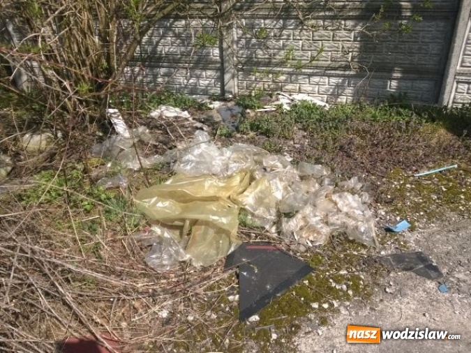 Zdjęcie w galerii na portalu naszwodzislaw.com: Kolejne dzikie wysypisko śmieci zniknęło z naszego miasta wiadomości z regionu