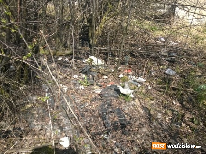 Zdjęcie w galerii na portalu naszwodzislaw.com: Kolejne dzikie wysypisko śmieci zniknęło z naszego miasta wiadomości z regionu