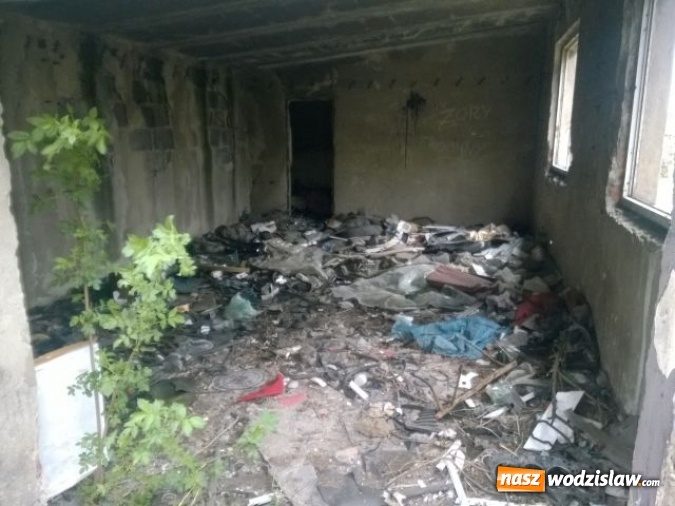 Zdjęcie w galerii na portalu naszwodzislaw.com: Kolejne dzikie wysypisko śmieci zniknęło z naszego miasta wiadomości z regionu