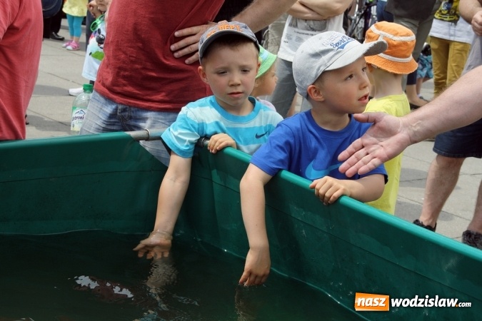 Zdjęcie w galerii na portalu naszwodzislaw.com: Strażacy świętowali na wodzisławskim Rynku  wiadomości z regionu