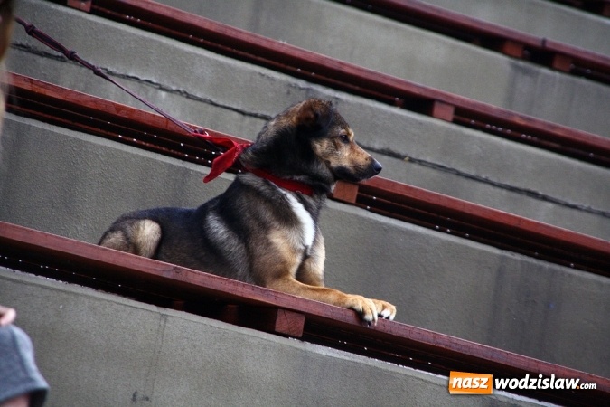 Zdjęcie w galerii na portalu naszwodzislaw.com: Walczyli o 3 tys. zł, czyli drugi dzień Wodzisławskiego Festiwalu Kuglarzy za nami wiadomości z regionu