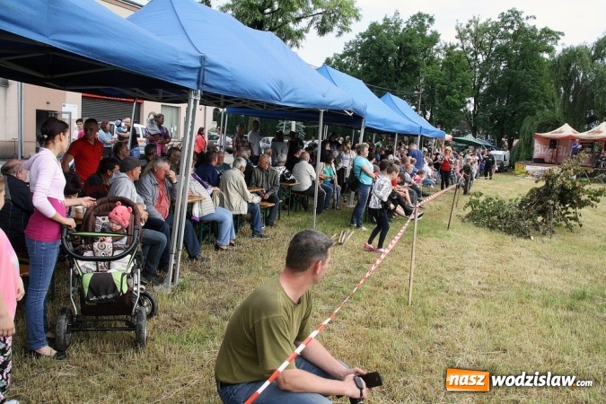 Zdjęcie w galerii na portalu naszwodzislaw.com: Inscenizacja Powstańcza w Bukowie - fotorelacja wiadomości z regionu