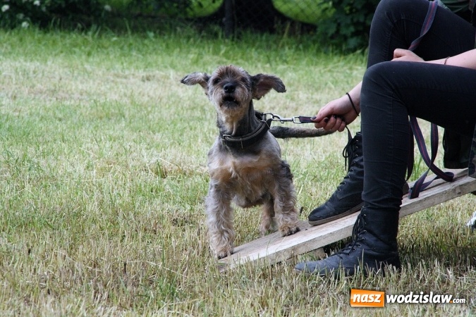 Zdjęcie w galerii na portalu naszwodzislaw.com: Inscenizacja Powstańcza w Bukowie - fotorelacja wiadomości z regionu