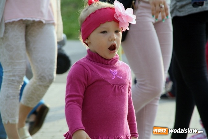 Zdjęcie w galerii na portalu naszwodzislaw.com: Festiwal Kolorów zagościł do Wodzisławia wiadomości z regionu