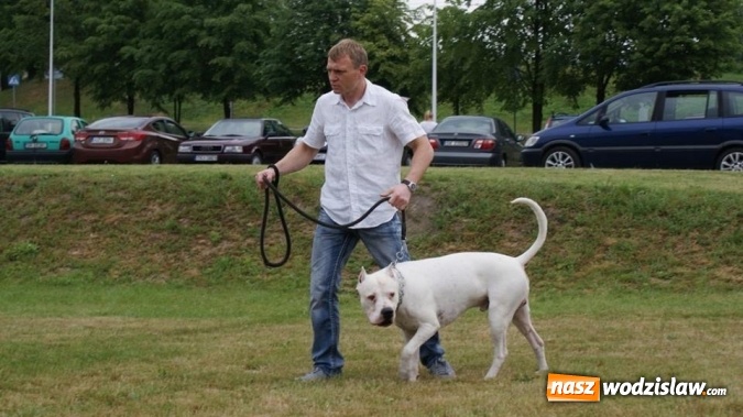 Zdjęcie w galerii na portalu naszwodzislaw.com: II Międzynarodowa wystawa Ps&oacute;w Rasowych w Połomi wiadomości z regionu