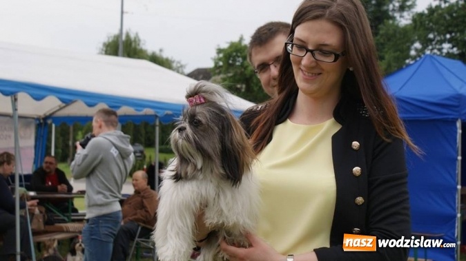 Zdjęcie w galerii na portalu naszwodzislaw.com: II Międzynarodowa wystawa Ps&oacute;w Rasowych w Połomi wiadomości z regionu