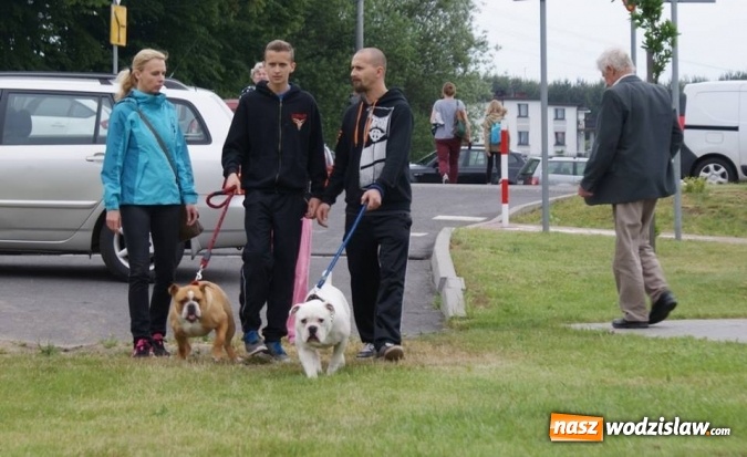 Zdjęcie w galerii na portalu naszwodzislaw.com: II Międzynarodowa wystawa Ps&oacute;w Rasowych w Połomi wiadomości z regionu