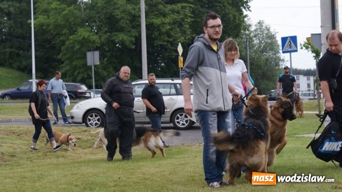 Zdjęcie w galerii na portalu naszwodzislaw.com: II Międzynarodowa wystawa Ps&oacute;w Rasowych w Połomi wiadomości z regionu