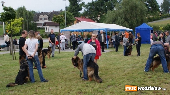 Zdjęcie w galerii na portalu naszwodzislaw.com: II Międzynarodowa wystawa Ps&oacute;w Rasowych w Połomi wiadomości z regionu