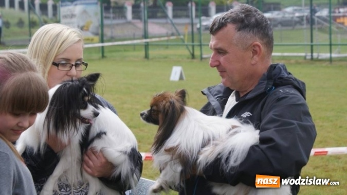 Zdjęcie w galerii na portalu naszwodzislaw.com: II Międzynarodowa wystawa Ps&oacute;w Rasowych w Połomi wiadomości z regionu